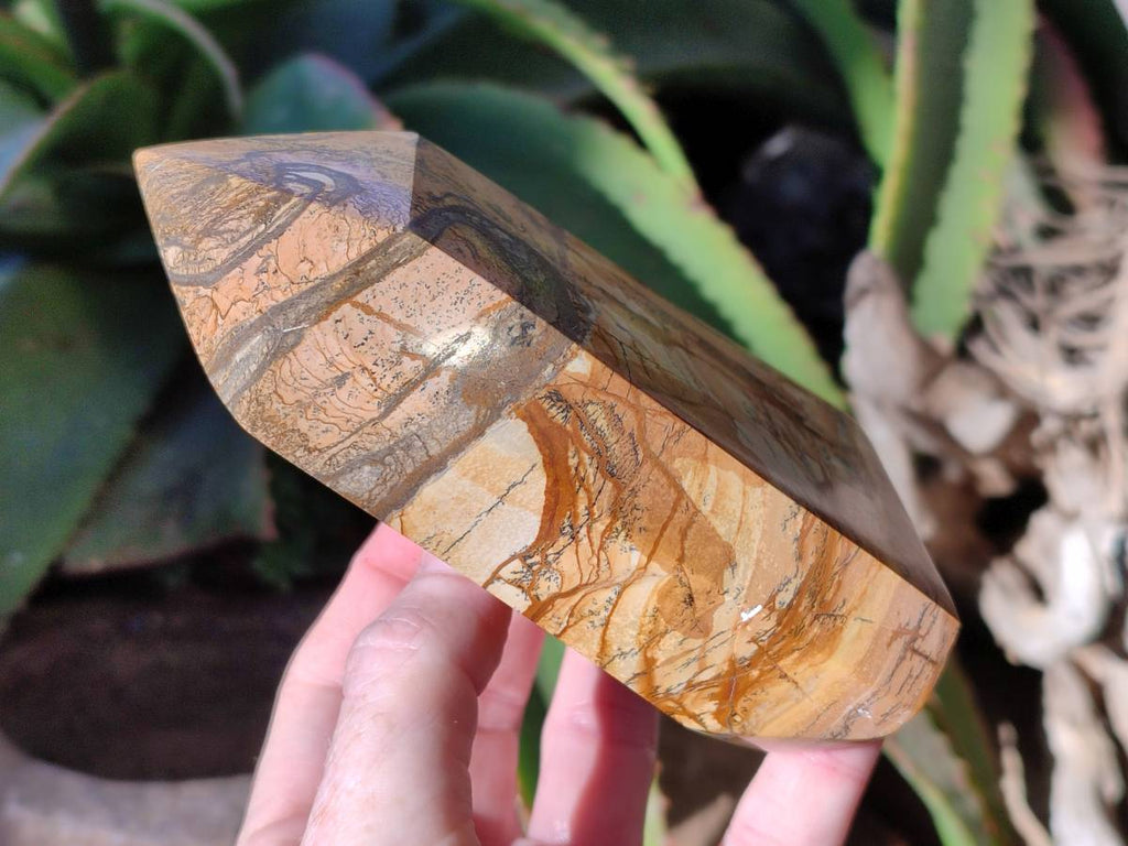 Polished Picture Stone Jasper Points x 2 From Ais-Ais, Namibia - Toprock Gemstones and Minerals 