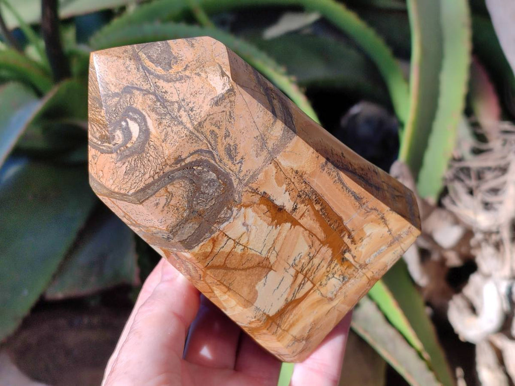 Polished Picture Stone Jasper Points x 2 From Ais-Ais, Namibia - Toprock Gemstones and Minerals 