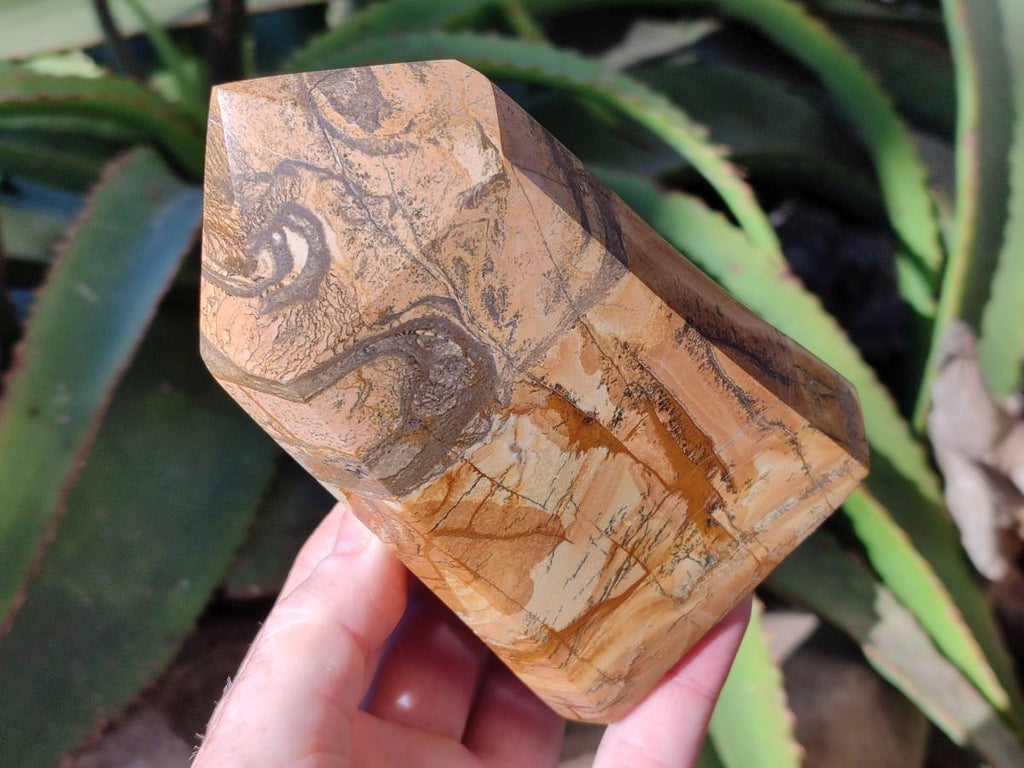 Polished Picture Stone Jasper Points x 2 From Ais-Ais, Namibia - Toprock Gemstones and Minerals 