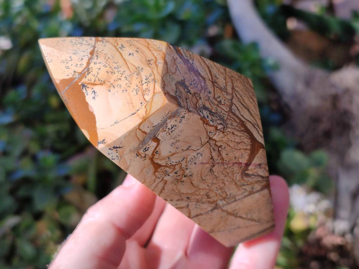Polished Picture Stone Jasper Points x 2 From Ais-Ais, Namibia - Toprock Gemstones and Minerals 