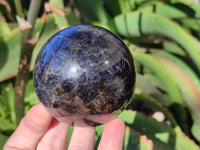 Polished Iolite Spheres x 2 From Ambatofinandrahana, Madagascar