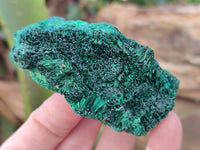 Natural Silky Malachite Specimens x 5 From Congo