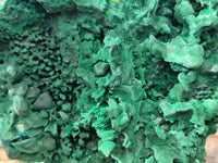 Natural Silky Malachite Specimens x 5 From Congo