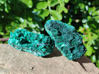 Natural Silky Malachite Specimens x 5 From Congo