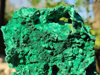 Natural Silky Malachite Specimens x 5 From Congo