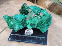 Natural Silky Malachite Specimens x 5 From Congo