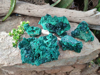 Natural Silky Malachite Specimens x 5 From Congo