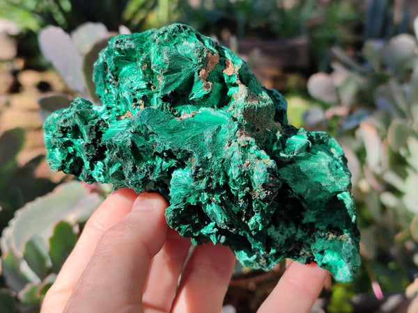 Natural Silky Malachite Specimens x 5 From Congo