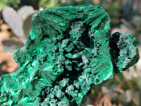 Natural Silky Malachite Specimens x 5 From Congo