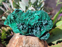 Natural Silky Malachite Specimens x 5 From Congo