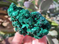 Natural Silky Malachite Specimens x 5 From Congo