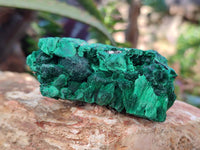 Natural Silky Malachite Specimens x 5 From Congo