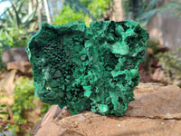 Natural Silky Malachite Specimens x 5 From Congo