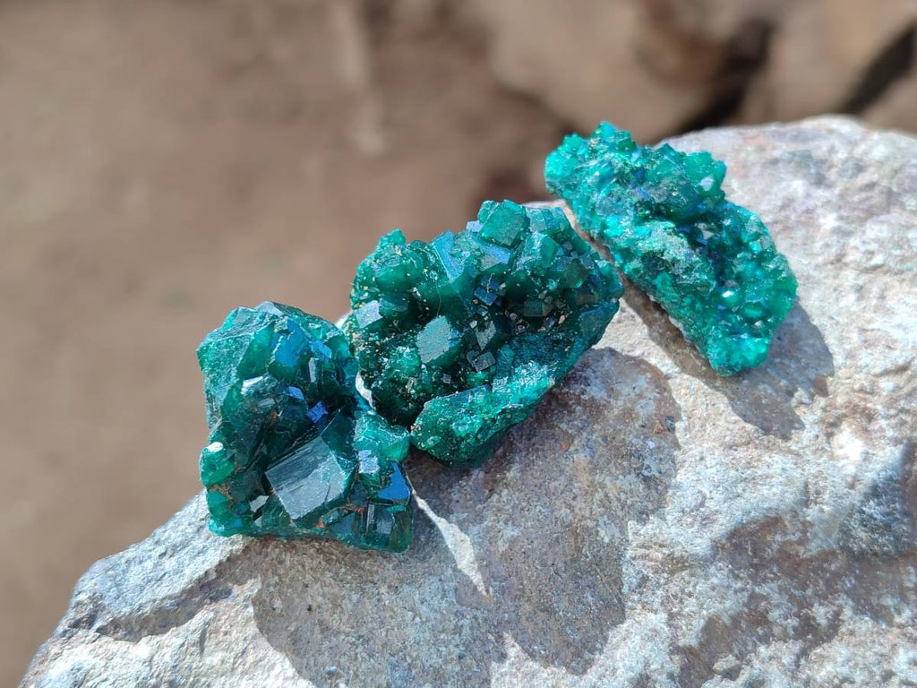 Natural Dioptase on Dolomite Matrix Specimens x 23 From Likasi, Congo - Toprock Gemstones and Minerals 
