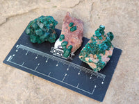 Natural Dioptase on Dolomite Matrix Specimens x 23 From Likasi, Congo