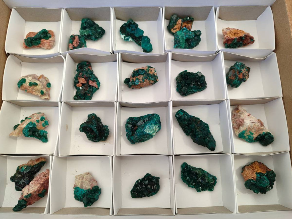 Natural Dioptase on Dolomite Matrix Specimens x 23 From Likasi, Congo - Toprock Gemstones and Minerals 