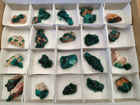 Natural Dioptase on Dolomite Matrix Specimens x 23 From Likasi, Congo