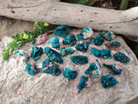 Natural Dioptase on Dolomite Matrix Specimens x 23 From Likasi, Congo