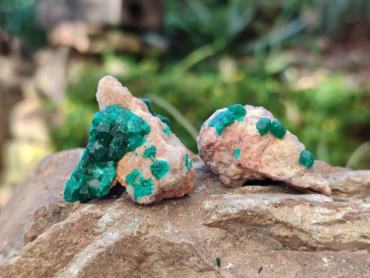 Natural Dioptase on Dolomite Matrix Specimens x 23 From Likasi, Congo - Toprock Gemstones and Minerals 