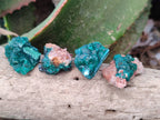 Natural Dioptase on Dolomite Matrix Specimens x 23 From Likasi, Congo - Toprock Gemstones and Minerals 