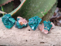 Natural Dioptase on Dolomite Matrix Specimens x 23 From Likasi, Congo