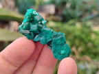 Natural Dioptase on Dolomite Matrix Specimens x 23 From Likasi, Congo - Toprock Gemstones and Minerals 
