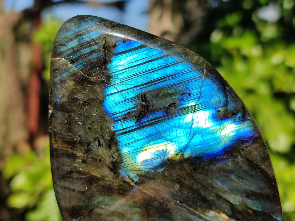 Polished Labradorite Standing Free Forms x 4 From Tulear, Madagascar - Toprock Gemstones and Minerals 