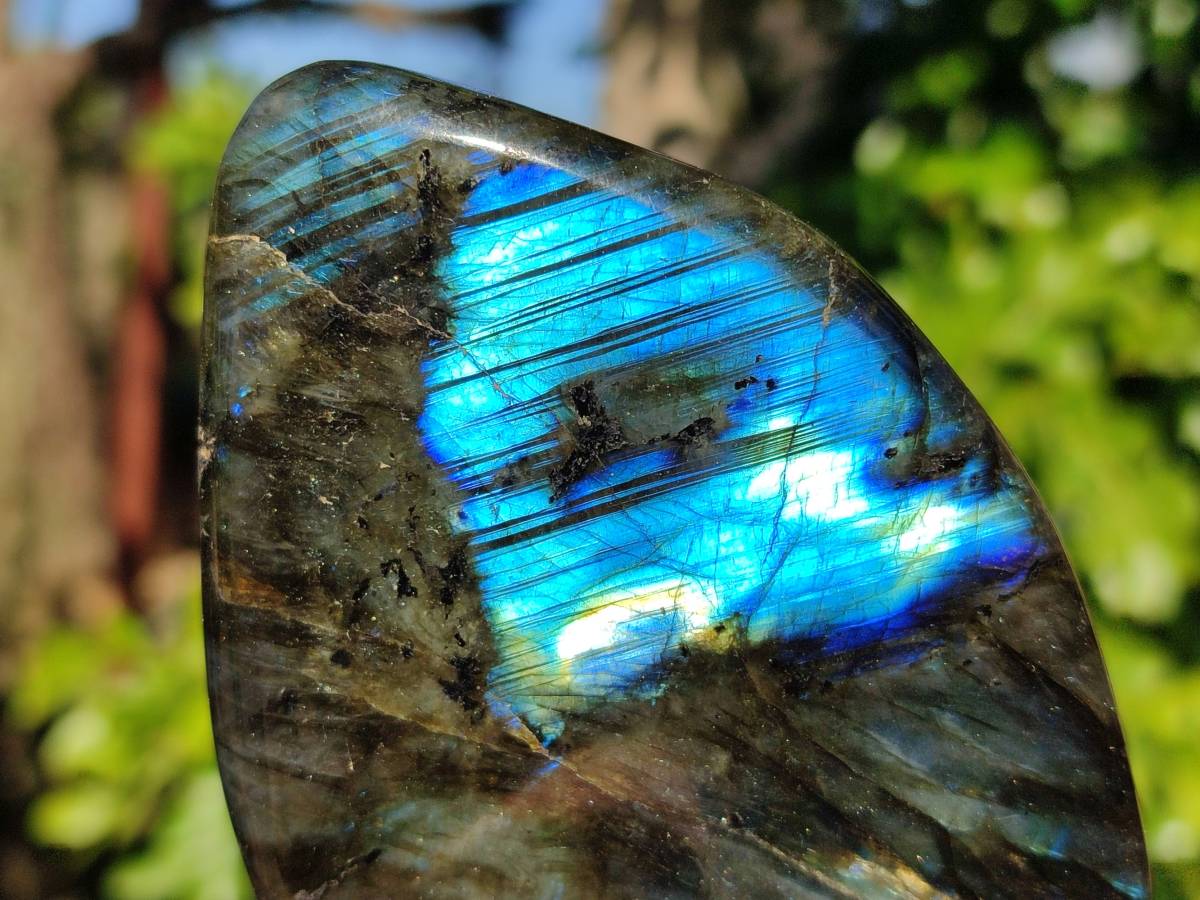 Polished Labradorite Standing Free Forms x 4 From Tulear, Madagascar - Toprock Gemstones and Minerals 