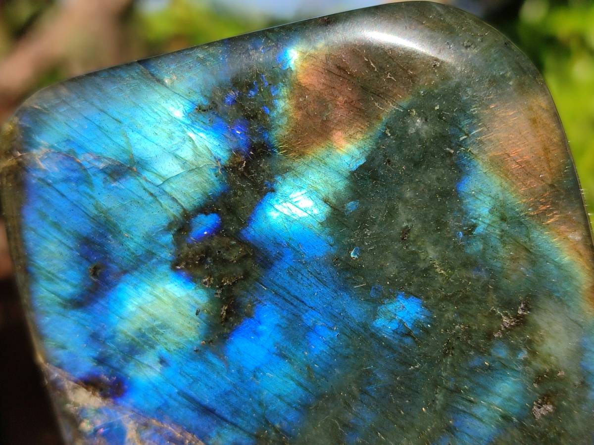 Polished Labradorite Standing Free Forms x 4 From Tulear, Madagascar - Toprock Gemstones and Minerals 