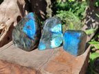 Polished Labradorite Standing Free Forms x 4 From Tulear, Madagascar - Toprock Gemstones and Minerals 