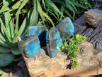 Polished Labradorite Standing Free Forms x 4 From Tulear, Madagascar - Toprock Gemstones and Minerals 