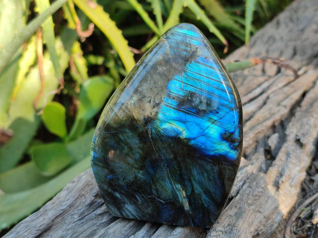 Polished Labradorite Standing Free Forms x 4 From Tulear, Madagascar - Toprock Gemstones and Minerals 