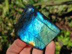 Polished Labradorite Standing Free Forms x 4 From Tulear, Madagascar - Toprock Gemstones and Minerals 