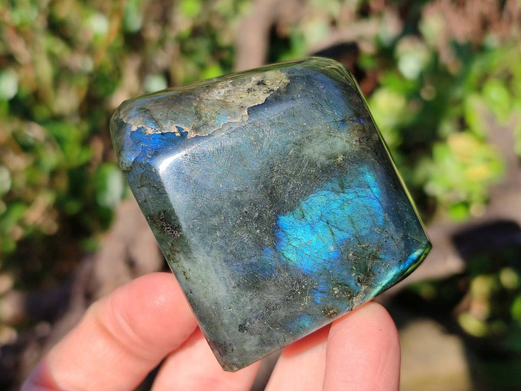 Polished Labradorite Standing Free Forms x 4 From Tulear, Madagascar - Toprock Gemstones and Minerals 