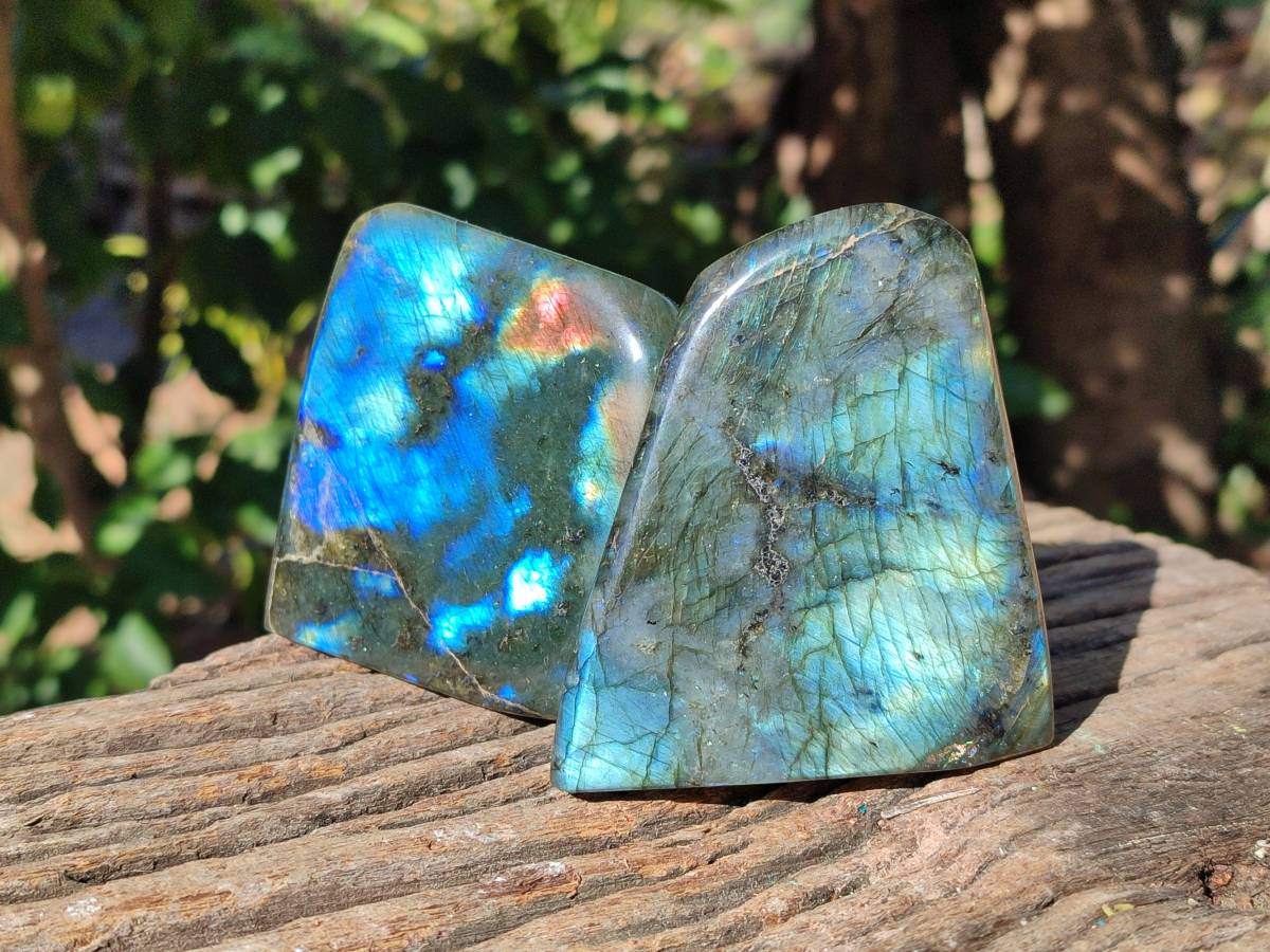 Polished Labradorite Standing Free Forms x 4 From Tulear, Madagascar - Toprock Gemstones and Minerals 
