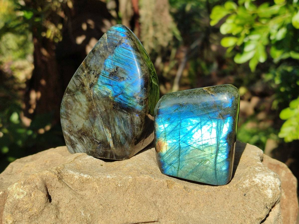 Polished Labradorite Standing Free Forms x 4 From Tulear, Madagascar - Toprock Gemstones and Minerals 