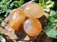 Polished Golden Healer Quartz Palm Stones x 20 From Madagascar