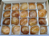 Polished Golden Healer Quartz Palm Stones x 20 From Madagascar