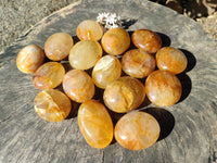 Polished Golden Healer Quartz Palm Stones x 20 From Madagascar