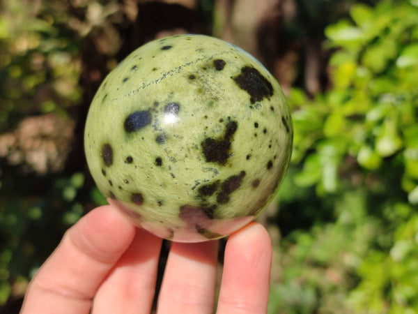 Polished Leopard Stone Spheres x 6 From Nyanga, Zimbabwe