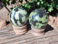 Polished Leopard Stone Spheres x 6 From Nyanga, Zimbabwe