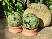 Polished Leopard Stone Spheres x 6 From Nyanga, Zimbabwe