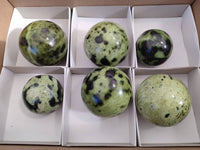 Polished Leopard Stone Spheres x 6 From Nyanga, Zimbabwe