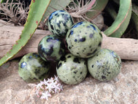 Polished Leopard Stone Spheres x 6 From Nyanga, Zimbabwe
