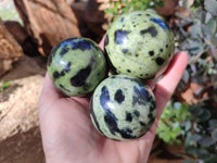 Polished Leopard Stone Spheres x 6 From Nyanga, Zimbabwe