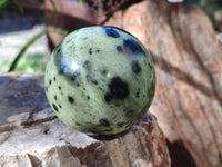 Polished Leopard Stone Spheres x 6 From Nyanga, Zimbabwe
