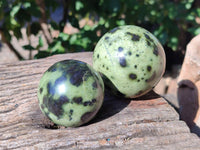 Polished Leopard Stone Spheres x 6 From Nyanga, Zimbabwe