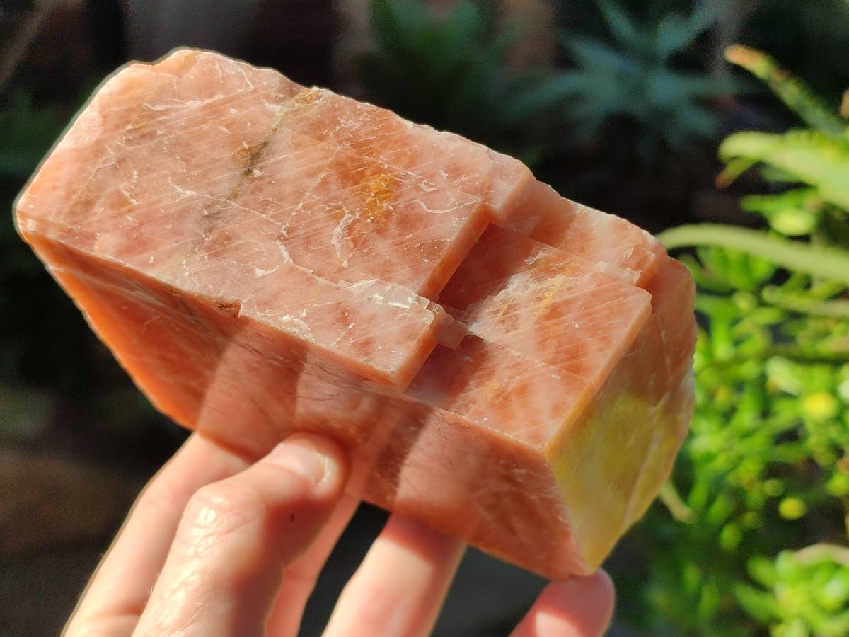 Natural Sunset Orange Calcite Specimens x 4 From Spitzkop, Namibia - Toprock Gemstones and Minerals 