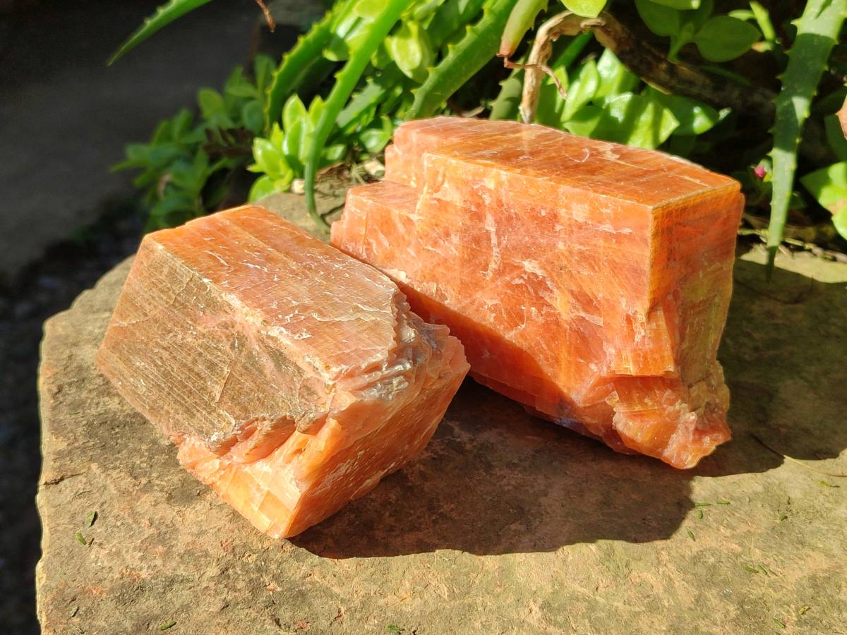 Natural Sunset Orange Calcite Specimens x 4 From Spitzkop, Namibia - Toprock Gemstones and Minerals 