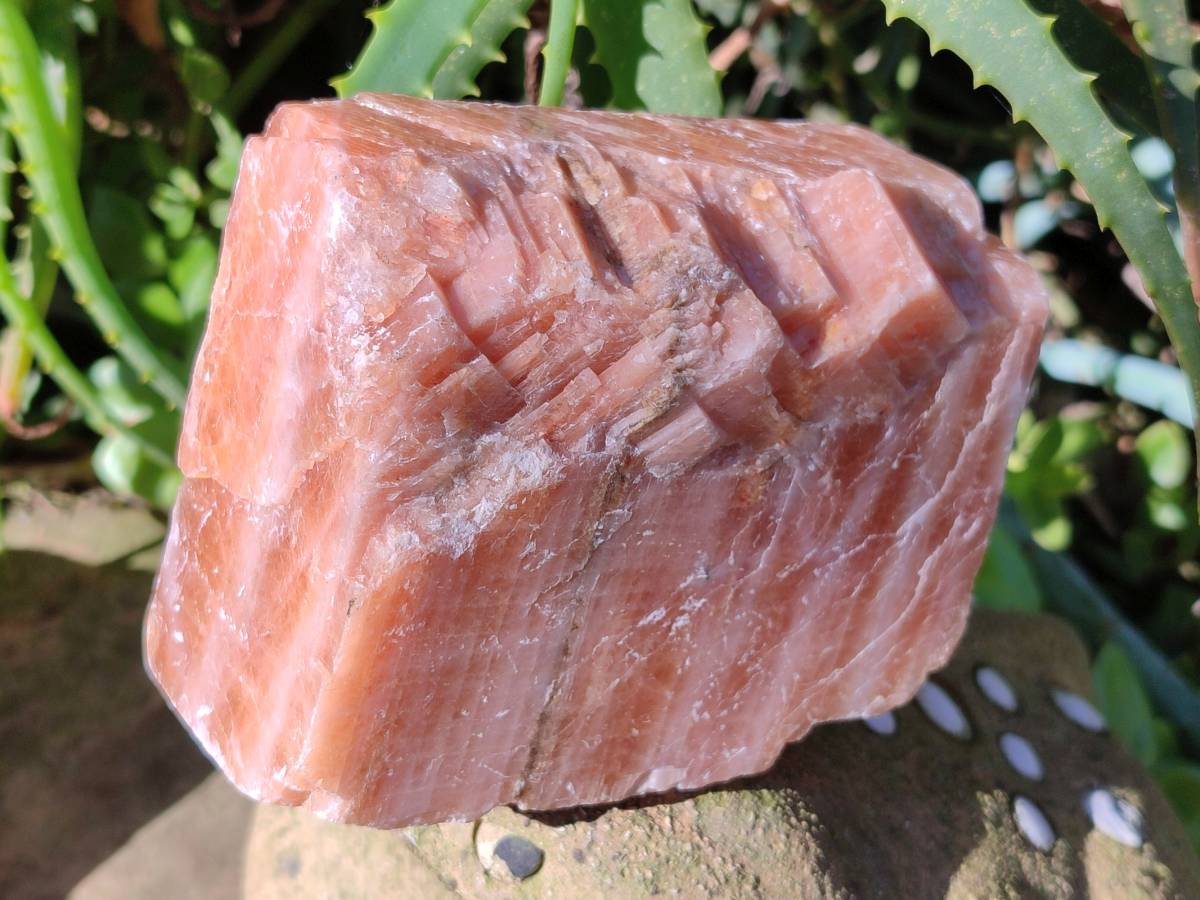 Natural Sunset Orange Calcite Specimens x 4 From Spitzkop, Namibia - Toprock Gemstones and Minerals 